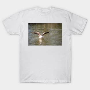 Canada goose with stretched wings T-Shirt